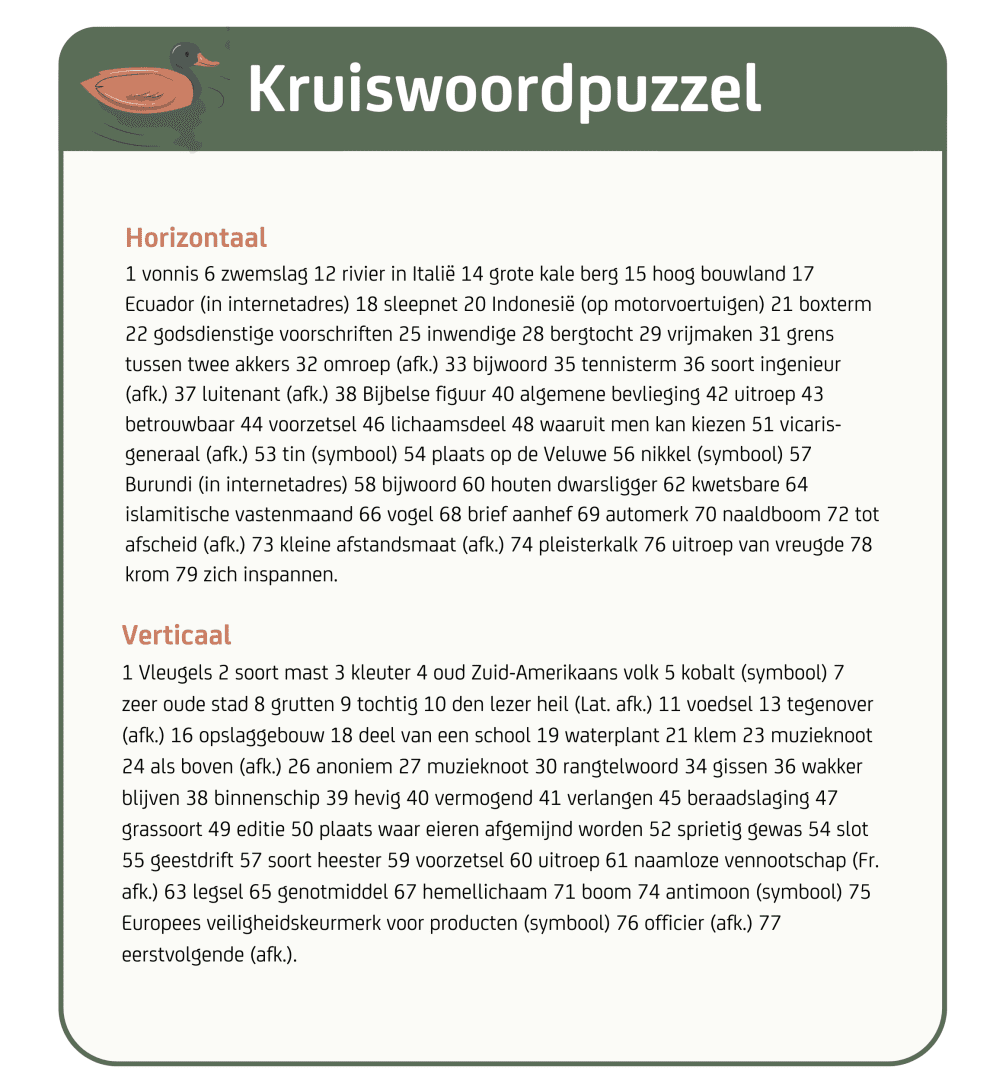 Kruiswoord 2